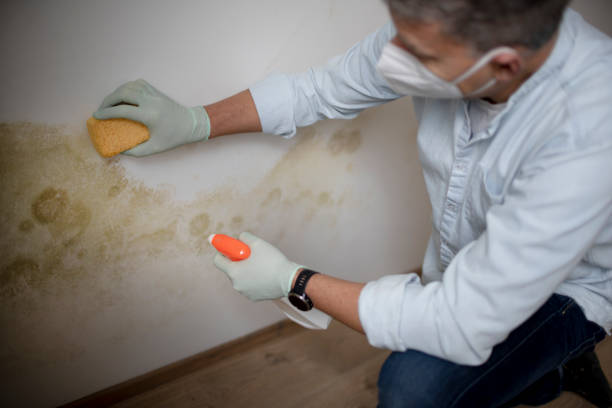 Oakhurst, CA Mold Remediation Company
