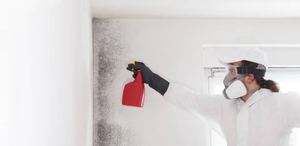 Best HVAC Mold Remediation in Oakhurst, CA