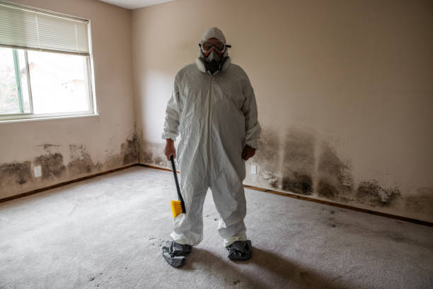 Best Post-Remediation Services in Oakhurst, CA